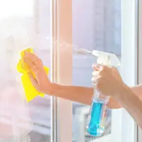 ilustrasi cara membersihkan kaca/Lina Mo/shutterstock