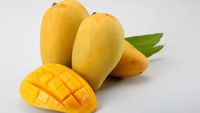 Foto Copyright thinkstockphotos.com