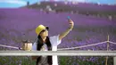Seorang wisatawan berswafoto di padang verbena yang terletak di Gaopo, Guiyang, Ibu Kota Provinsi Guizhou, China, 14 Agustus 2020. (Xinhua/Zhang Hui)