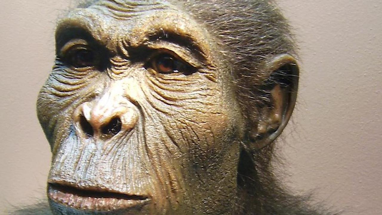 Inilah Isi Percakapan Manusia Purba 2 Juta Tahun Lalu