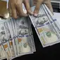 Teller tengah menghitung mata uang dolar di penukaran uang di Jakarta, Junat (23/11). Nilai tukar dolar AS terpantau terus melemah terhadap rupiah hingga ke level Rp 14.504. (Liputan6.com/Angga Yuniar)