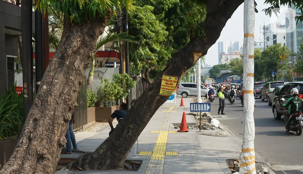 Poster revitalisasi menempel pada pohon yang berada di jalur pedestrian Jalan Kramat Raya, Jakarta, Jumat (8/11/2019). Sepanjang pengerjaan jalur pedestrian, pohon yang berada di jalur tersebut rencananya juga akan direvitalisasi dan diremajakan. (Liputan6.com/Immanuel Antonius)