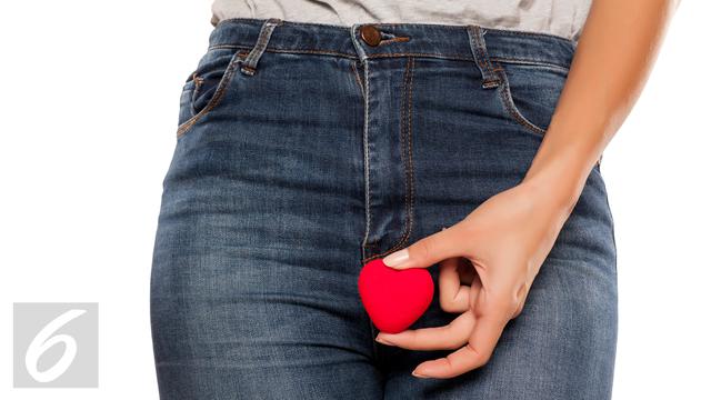 Vagina Alat Kelamin Perempuan