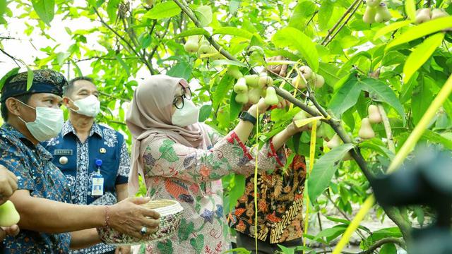 Sediakan Modal Ratusan Juta, Banyuwangj Kembali Ajak Anak Muda Ikuti Jagoan Tani