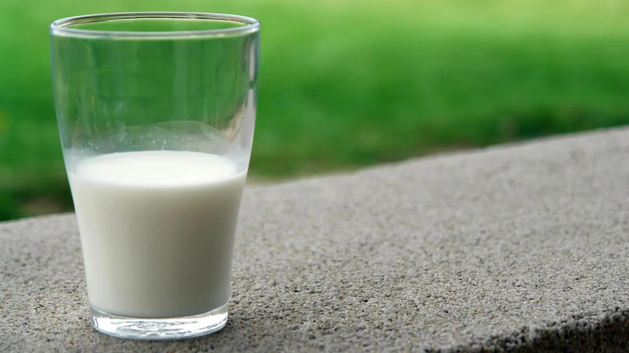 4 Makanan Kaya Kalsium dan Vitamin D yang Penting untuk Kesehatan Tulang Lansia