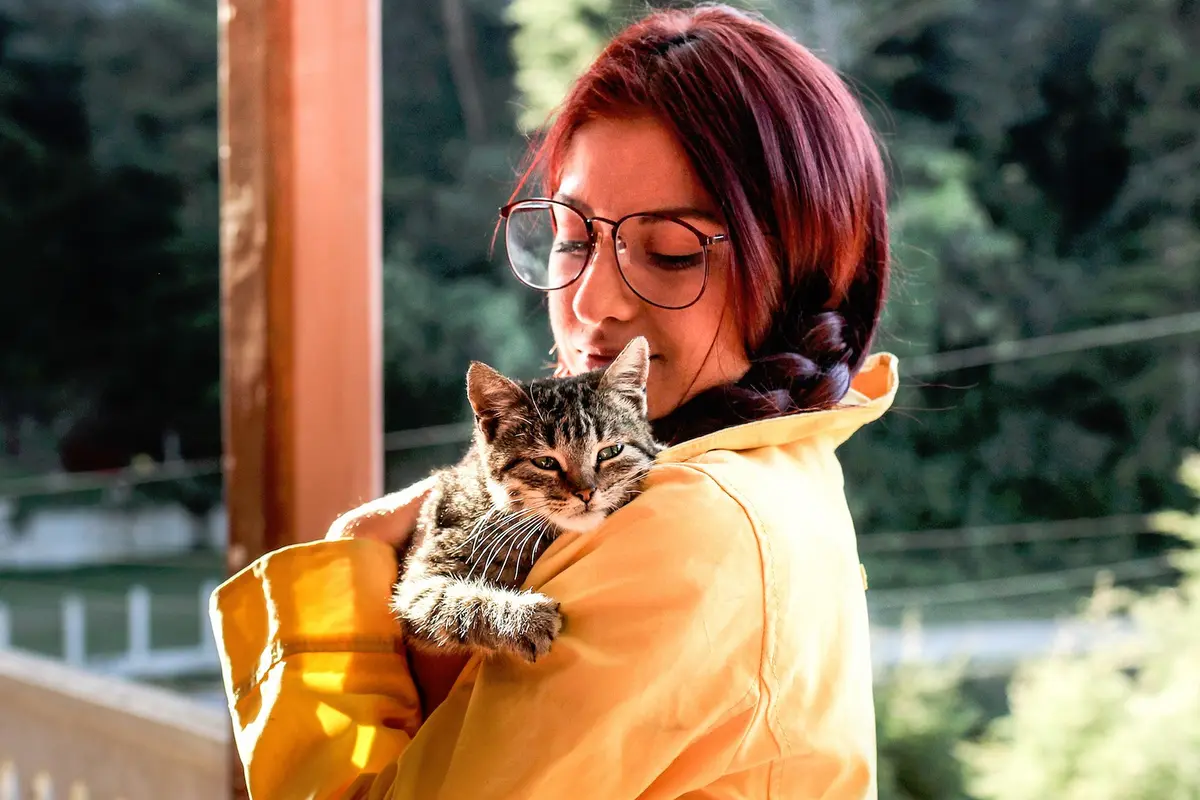 Ilustrasi Memelihara Kucing