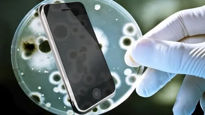 Meski terlihat bersih, ternyata kamu tetap harus cuci tangan usai pegang lima benda ini. 