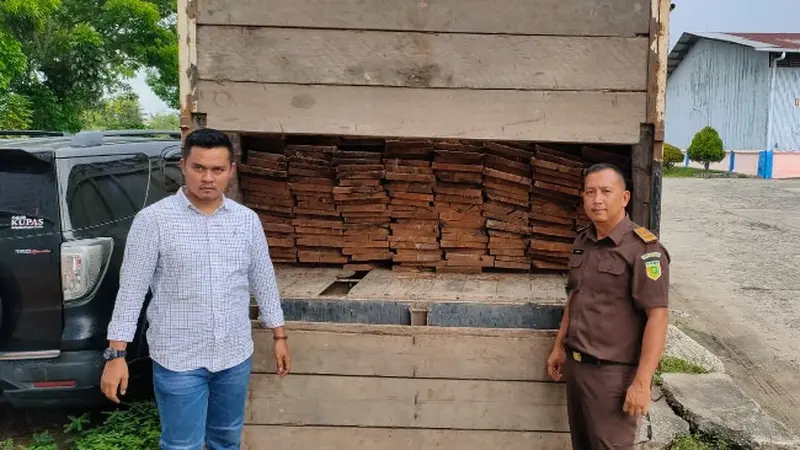 Barang bukti kejahatan lingkungan berupa papan hasil ilegal logging yang disita petugas di Kota Dumai.