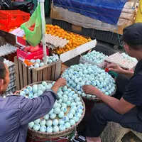 Ilustrasi&nbsp;Telur Bebek/copyright pexels