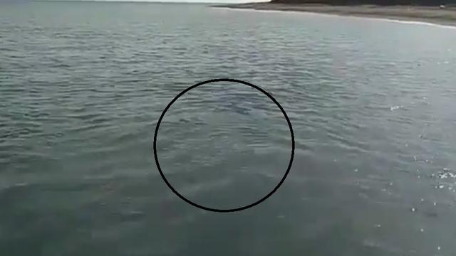Kata Ahli Bmkg Soal Gelembung Besar Yang Muncul Di Pantai Gunung