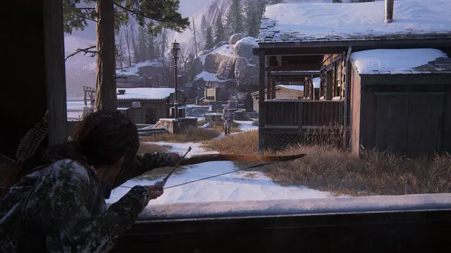 The Last of Us