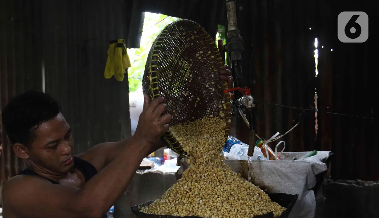 Pengrajin tahu menyelesaikan pembuatan tahu di pabrik kawasan Duren Tiga, Jakarta Selatan, Rabu (7/12/2022). Imbas dari kenaikan harga kedelai, pengrajin tahu di Duren Tiga ingin menaikkan harga dari Rp6 ribu per 10 potong tahu, menjadi Rp8 ribu per 10 potong tahu atau naik 33,33 persen. (Liputan6.com/Herman Zakharia)