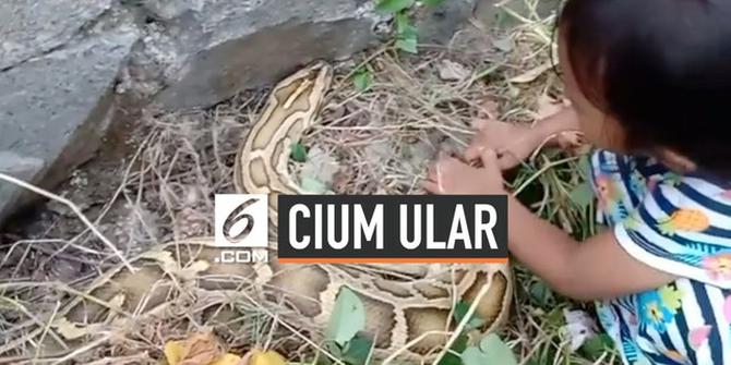 VIDEO: Bocah di Tangerang Nekat Cium Ular Piton