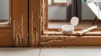 13 Tips Ampuh Membasmi Rayap di Kusen Pintu dan Jendela, Lindungi Rumah dari Kerusakan