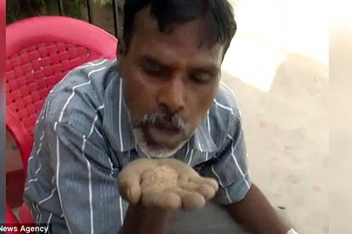 Hans Raj