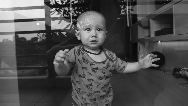 [Bintang] Dahlia Poland