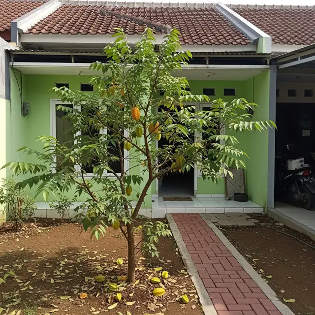 9 Tanaman Buah yang Bisa Berbuah Tanpa Pupuk Kimia, Cocok untuk Kebun Rumah