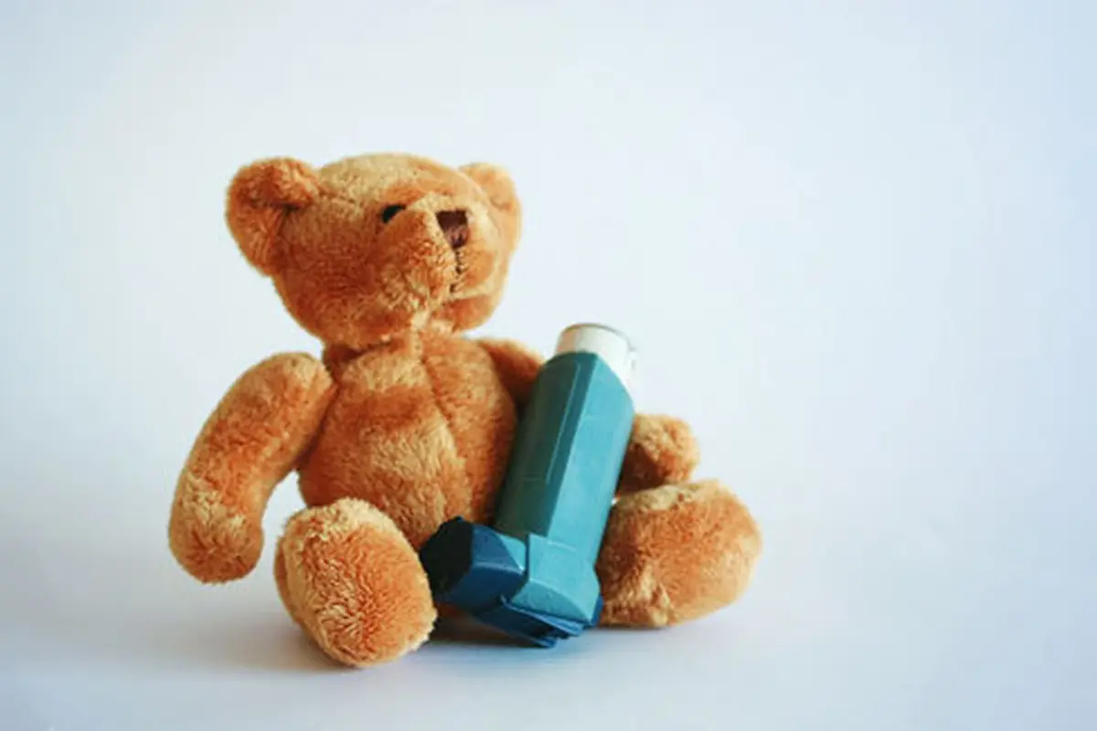 Foto: copyright shutterstock.com