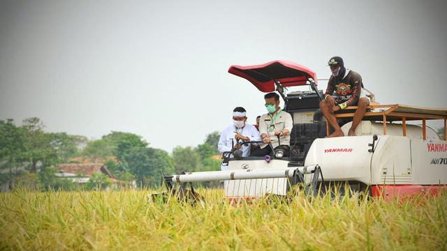 Indonesia dikenal sebagai negara agraris yang begitu subur yang hanya mengenal musim hujan dan kemarau sehingga sangat bagus bagi tanaman. (Dok Kementan)