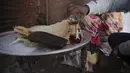 Helo Murr dapat disajikan hangat atau dingin sesuai selera. Minuman ini sangat populer di Sudan dan negara-negara tetangganya seperti Mesir, Eritrea, dan Ethiopia. (AP Photo/Marwan Ali)