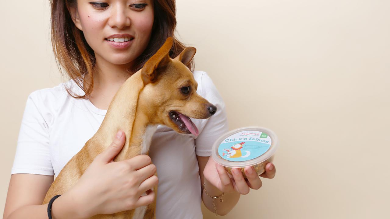 Berawal dari kecintaannya terhadap hewan peliharaan, Valerie Amintohir, Tania Suganda, dan Stephani Herman memutuskan mendirikan usaha menjual makanan Healthy & Natural Dog Catering dengan brand  “Pawmeals”.