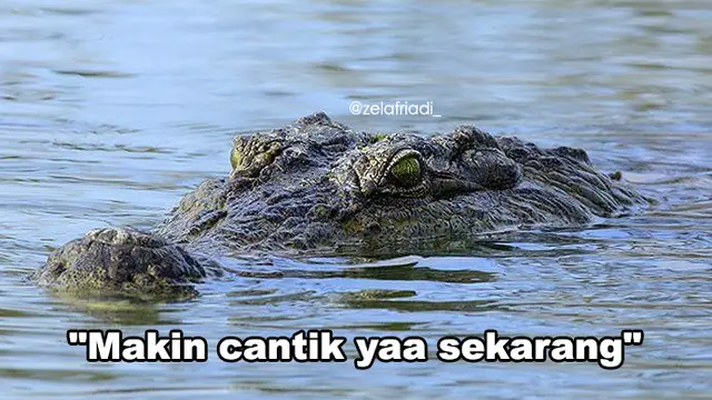 6 Meme Modus Buaya Darat Ala Netizen Ini Sukses Bikin Geregetan Hot