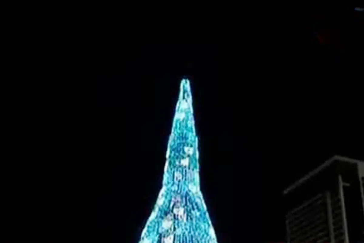  Pohon Natal di Sri Lanka Diyakini Tertinggi di Dunia 