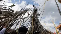 Seorang pria berada diatas puncak tongkat saat ritual Mekotek di Bali (11/11). Peserta yang terkena pukulan tongkat harus merelakan dirinya untuk naik ke kumpulan tongkat dari para peserta yang lain. (AP Photo/Firdia Lisnawati)