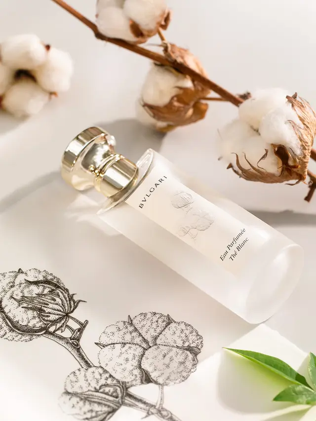 Bvlgari Hadirkan Wewangian Teh yang Ditwist Secara Modern dalam Lini Eau Parfumée Terbaru (photo by Bulgari)