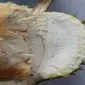 Durian Merica Mojokerto memiliki cita rasa yang khas dan unik karena hanya tumbuh di Desa Duyung. Foto (Istimewa)