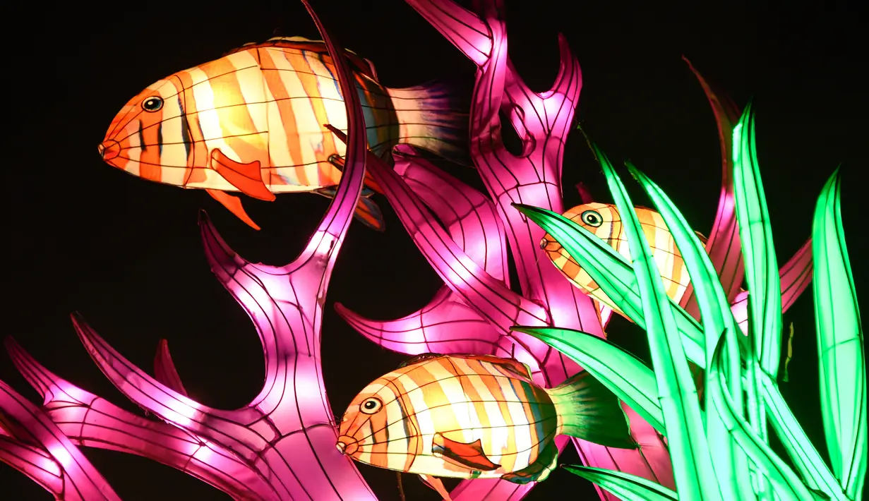 Gambar pada 15 November 2019 menunjukkan patung ikan diterangi lampu berwarna sebagai bagian dari pameran festival cahaya di Kebun Binatang Jardin des Plantes, Paris. Festival Cahaya bertajuk "Ocean en voie d'illumination" ini digelar dari 18 November 2019 - 19 Januari 2020. (BERTRAND GUAY/AFP)
