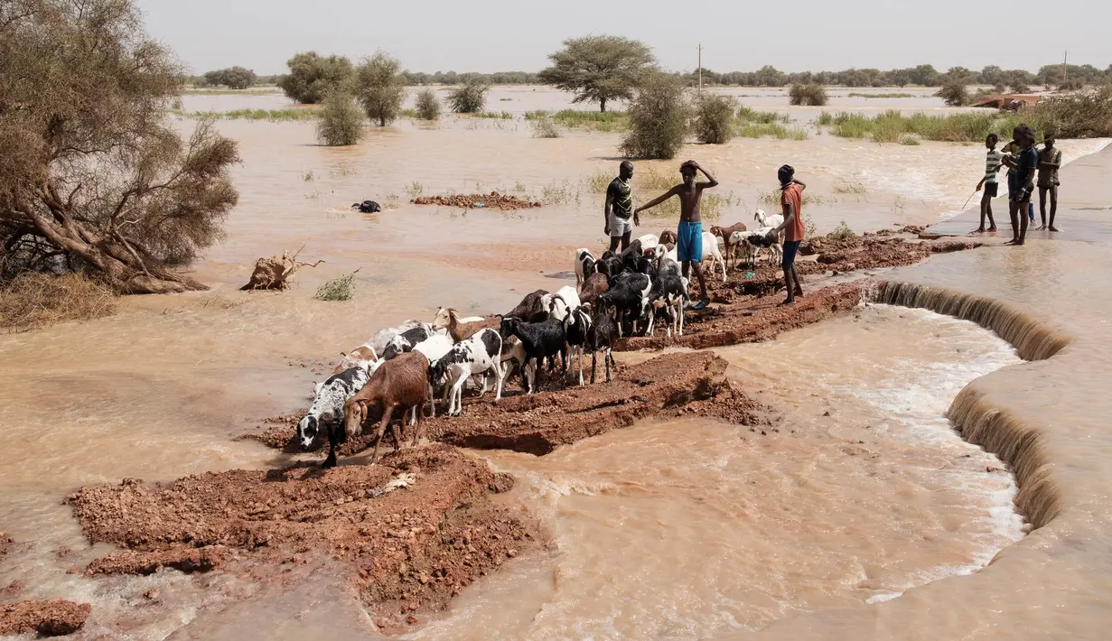 Lebih dari 1.000 hektar lahan pertanian terendam. (GUY PETERSON/AFP)