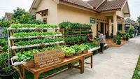 6 Ide Kebun Sayur untuk Sedekah Warga, Membangun Ketahanan Pangan dan Kebaikan Sosial