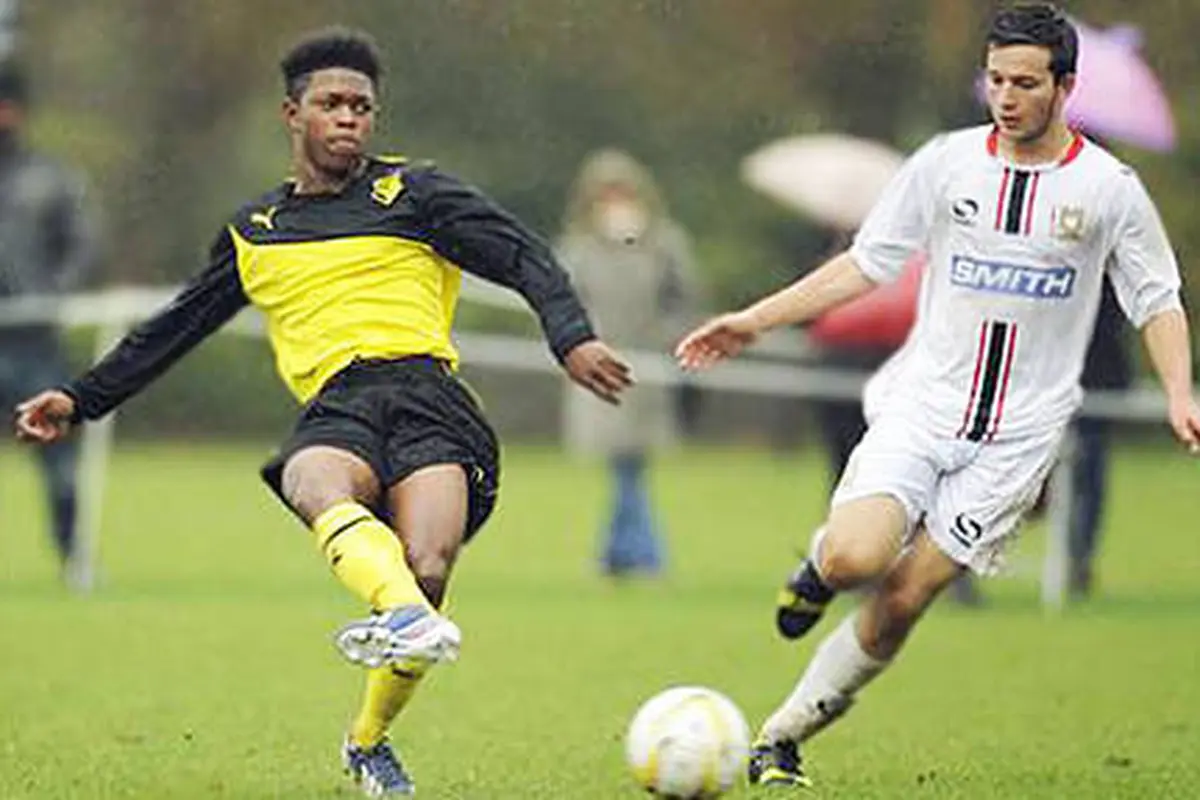 Ogo Obi