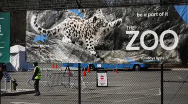 Sebuah poster terpampang di pagar Kebun Binatang Bronx, New York City, Amerika Serikat, Senin (6/4/2020). Wildlife Conservation Society menyatakan seekor harimau Malaya di Kebun Binatang Bronx positif terinfeksi virus corona COVID-19. (Spencer Platt/Getty Images/AFP)