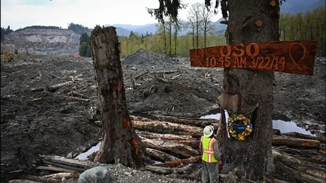 Sebuah tugu peringatan kayu yang ditempelkan pada pohon tersisa di lokasi bencana, untuk memperingati momen longsoran lumpur Oso.