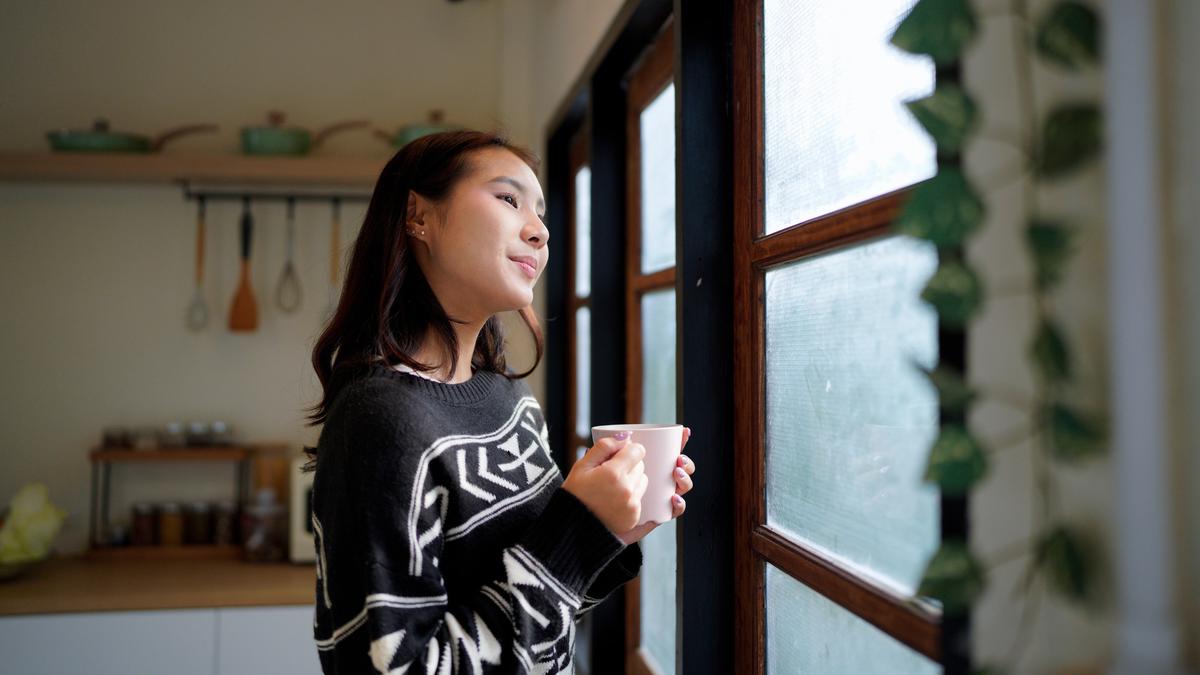 Intensitas Hujan Tinggi, Ini Peran Dehumidifier dalam Menjaga Kualitas Udara di Rumah