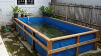 Cara Membuat Kolam Ikan di Rumah Subsidi Tanpa Menggali Tanah, Hemat Biaya
