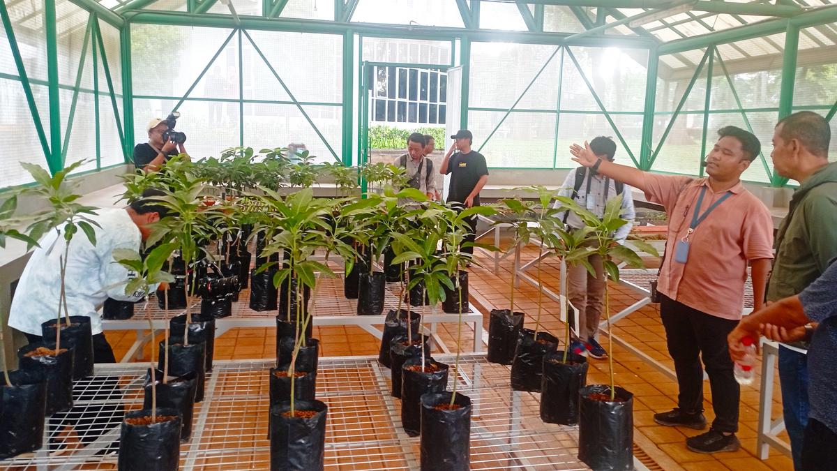 Titik Balik Masalah Sampah di Kudus hingga Surabaya, Jadi Apik Resik dan Energi Listrik