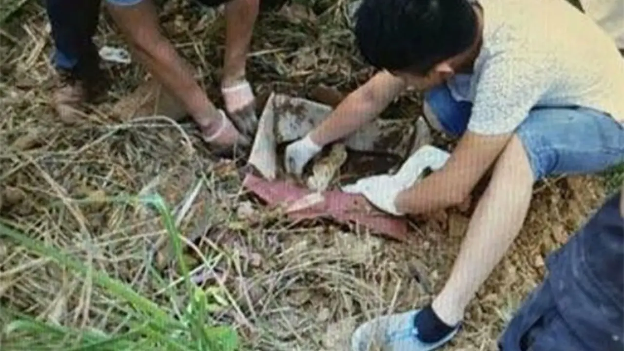 Ajaib, Seorang Bayi Ditemukan Masih Hidup Setelah Dikubur 8 Hari