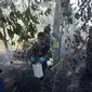 Kebakaran di Gunung Bawakaraeng. (Liputan6.com/Ahmad Yusran)