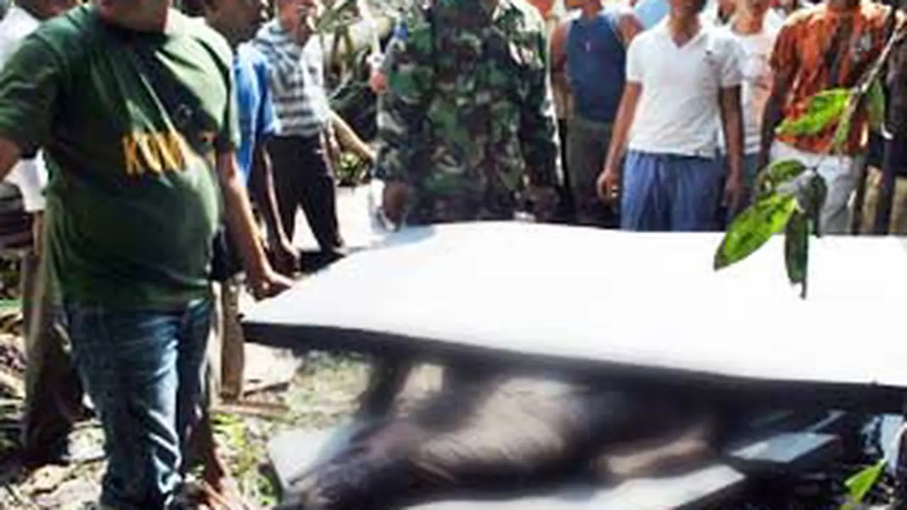 110213apswt-evac1.jpg