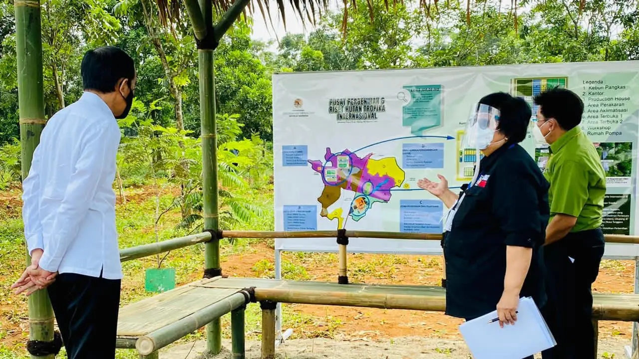 Presiden Jokowi meninjau pusat sumber benih dan persemaian rumpin di Kecamatan Rumpin, Kabupaten Bogor. (Dok: Setpres/Biro Pres)