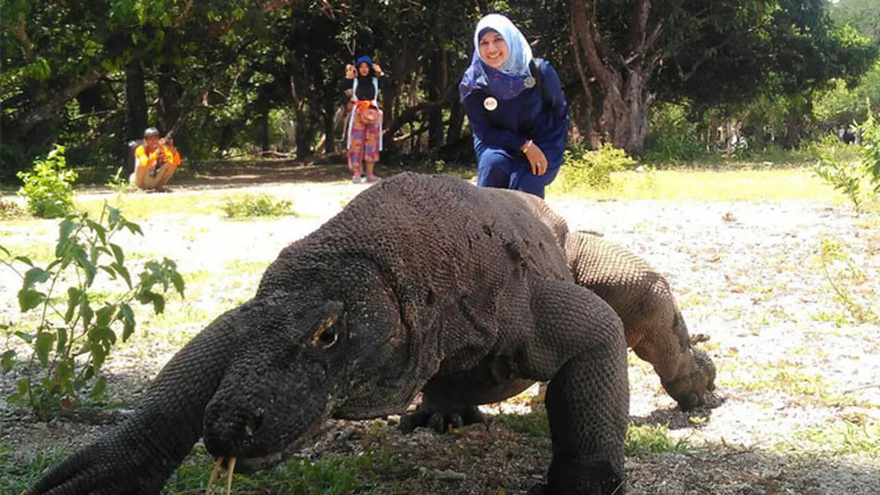 Pernyataan Gubernur NTT Bisa Bikin TN Komodo Dijauhi Wisatawan