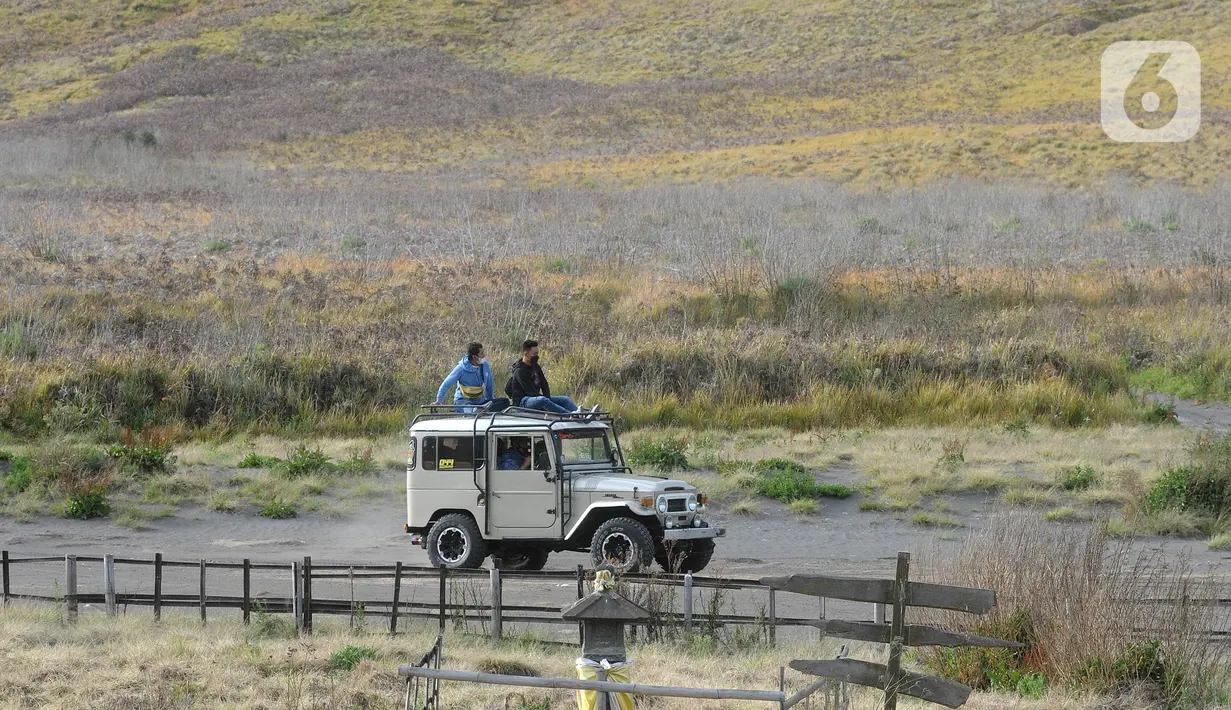 Mobil jeep wisatawan berkeliling di lautan pasir Gunung Bromo, Probolinggo, Jawa Timur, Jumat (10/9/2021). Wisata Gunung Bromo lewat Probolinggo resmi dibuka pada Kamis (9/9/2021) sore seiring penurunan status pemberlakuan pembatasan kegiatan masyarakat. (merdeka.com/Arie Basuki)