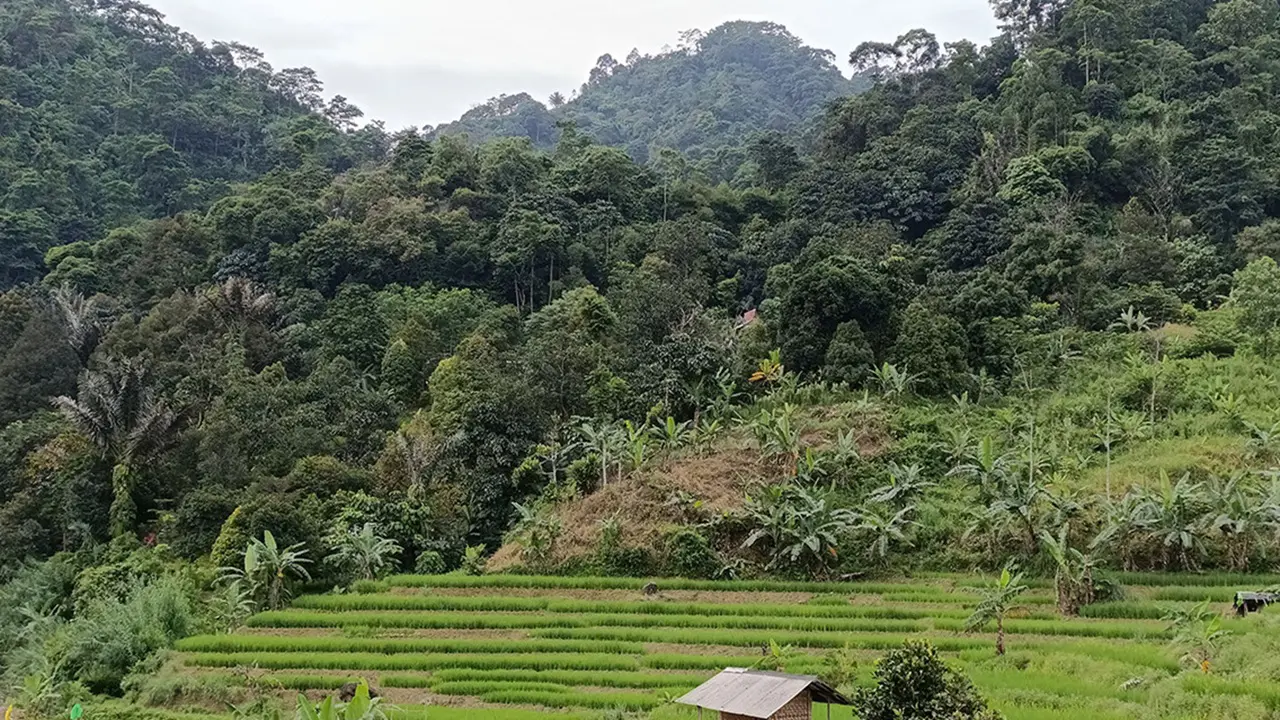 Tempat Wisata di Sentul