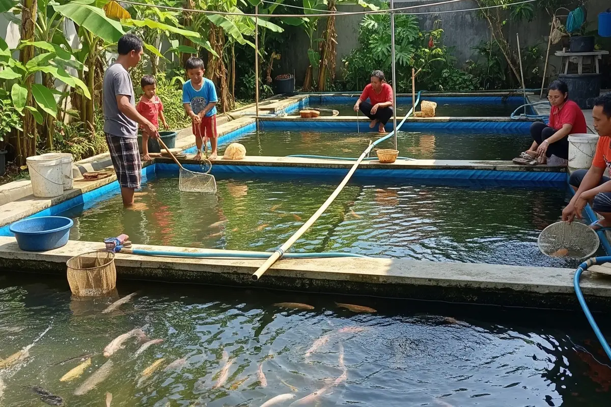 9 Strategi Ternak Ikan Cepat Balik Modal dalam 1 Bulan, Raih Untung Maksimal