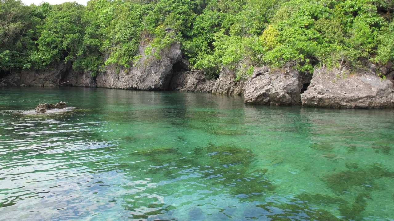 Bawean
