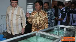 Citizen6, Lampung: MKP Sharif C Sutardjo didampingi Kep.BBL Lampung dan Dirjen Perikanan Budidaya meninjau ruangan Crow fish di BBL Lampung. (Pengirim: Efrimal Bahri)