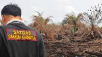 Penyidik Reskrimsus Polda Riau saat melakukan olah tempat kejadian perkara di lahan perusahaan yang terbakar. (Liputan6.com/M Syukur)